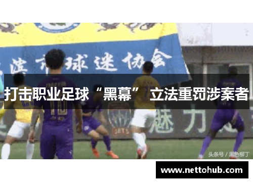 打击职业足球“黑幕” 立法重罚涉案者